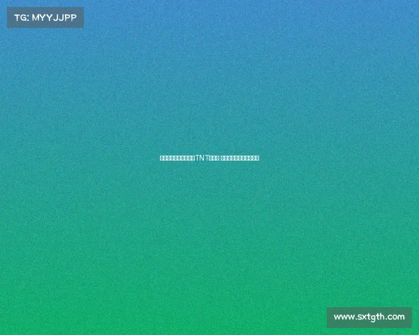 贝尔接替费迪南德担任TNT解说员 主播下赛季英超欧冠赛事